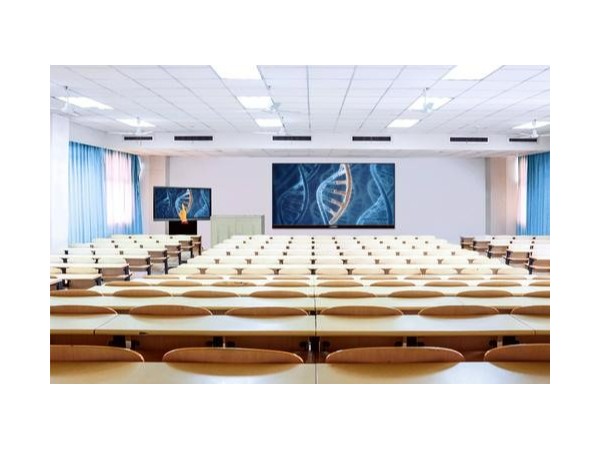 91免费小视频大屏显示方案