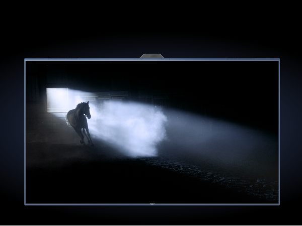 newline91免费黄片APP+腾讯会议Rooms打造91免费小视频解决方案