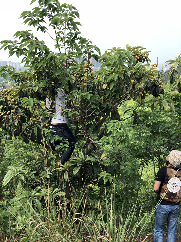 20180421_IMG_9735_副本