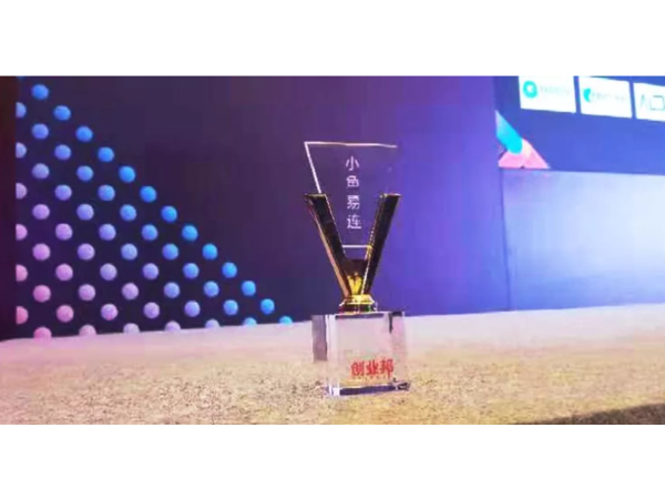 小鱼易连云91免费小视频系统荣膺创业帮「中国企业服务创新成长50强」
